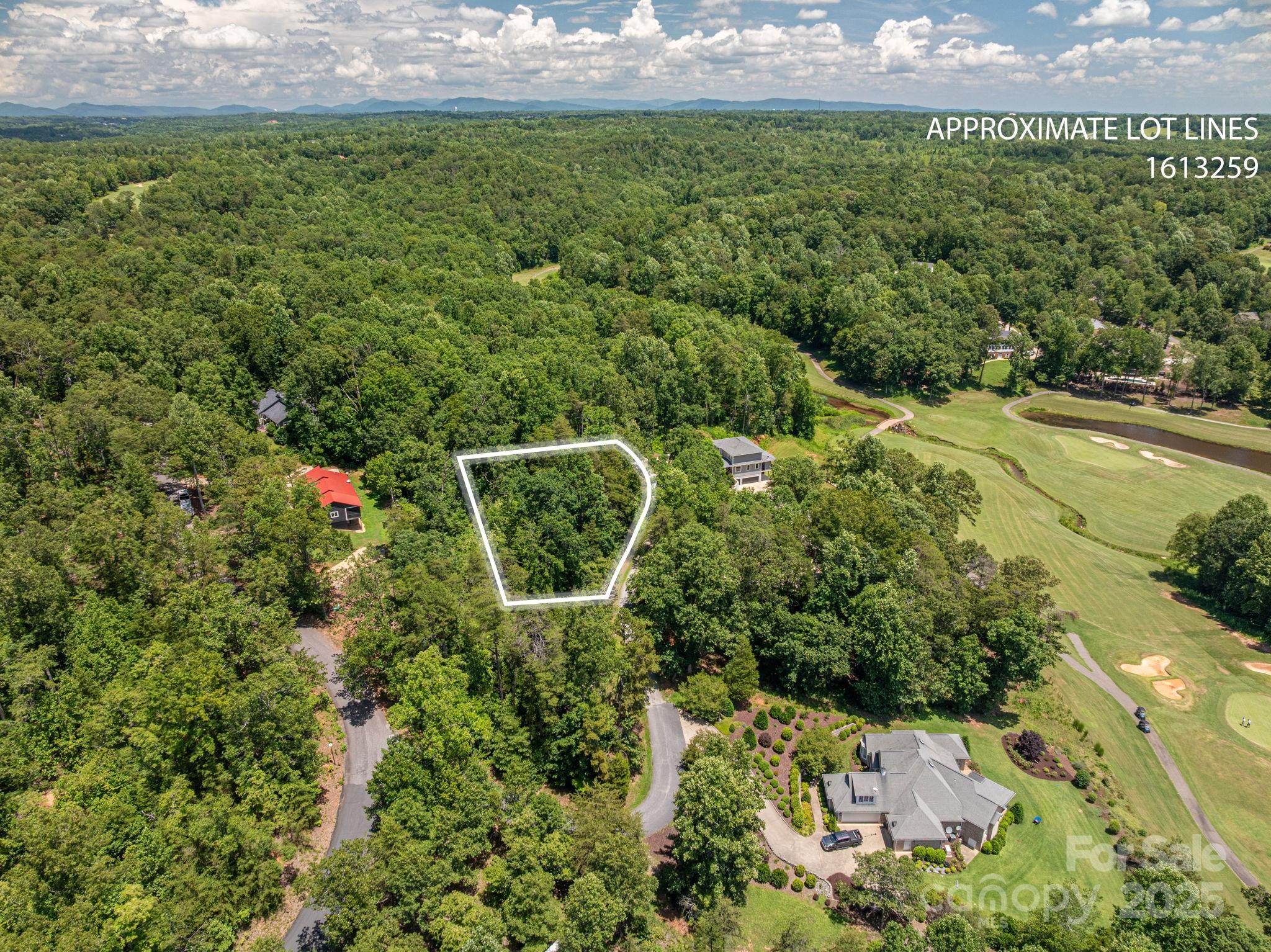 Lot 208 Plantation Drive Rutherfordton, NC 28139 - Photo 2 of 10 a aerial view of a house with a yard