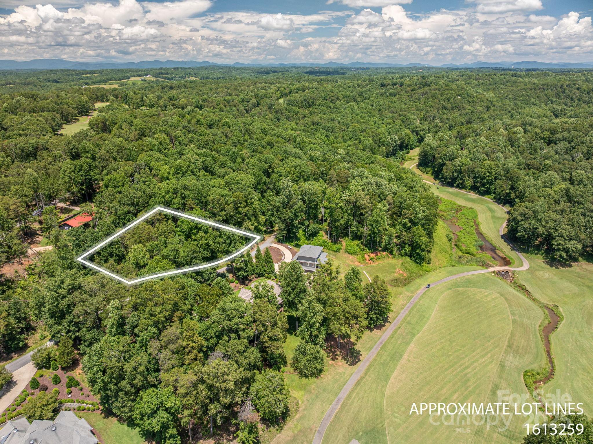 Lot 208 Plantation Drive Rutherfordton, NC 28139 - Photo 6 of 10 a view of outdoor space and yard