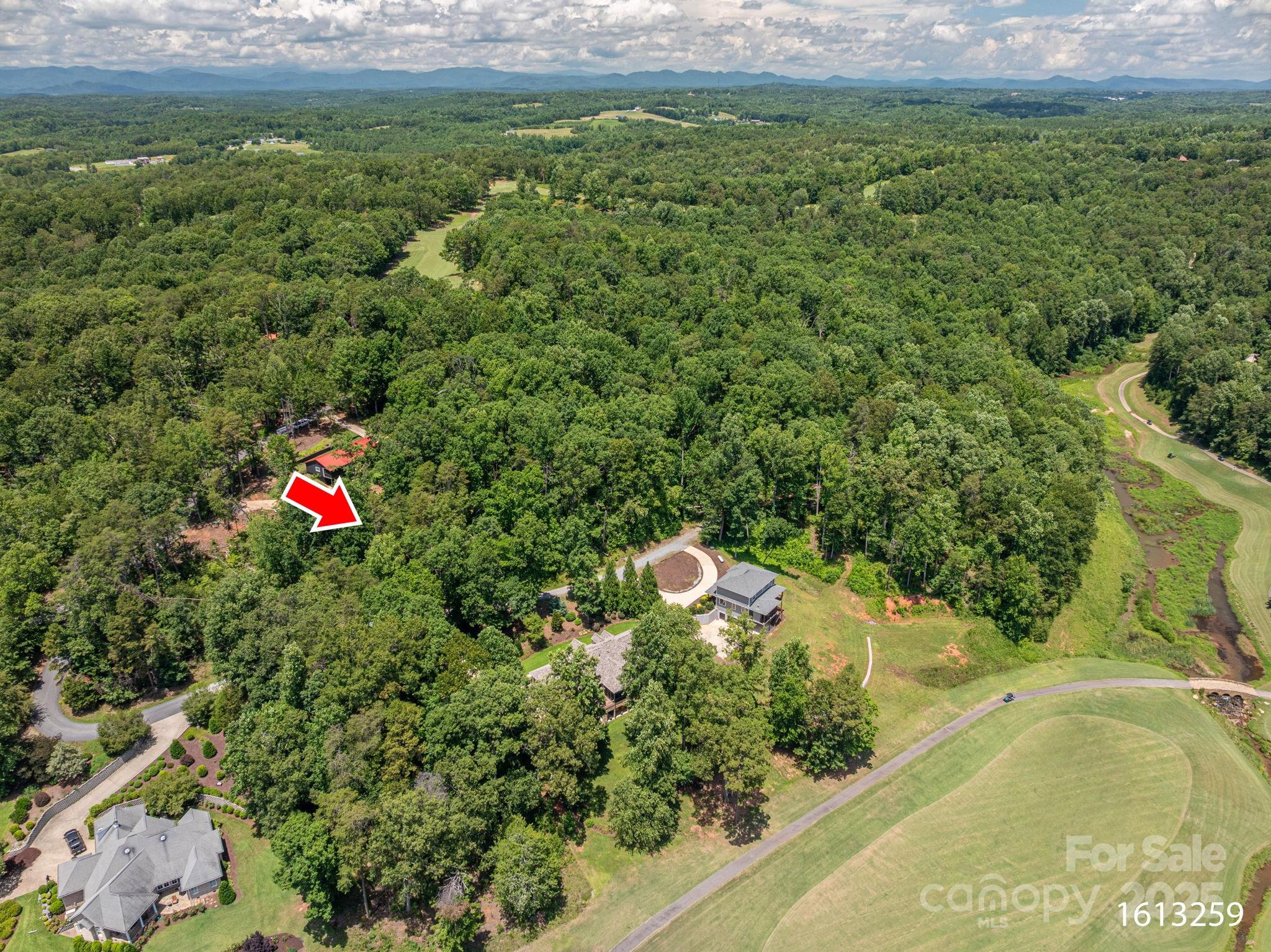 Lot 208 Plantation Drive Rutherfordton, NC 28139 - Photo 7 of 10