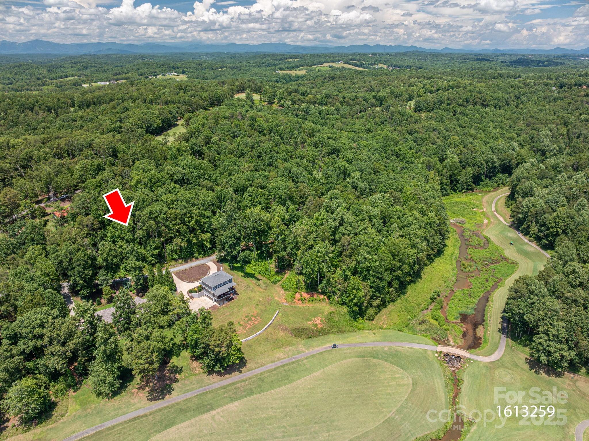 Lot 208 Plantation Drive Rutherfordton, NC 28139 - Photo 8 of 10 a view of a lush green forest with a house and a yard