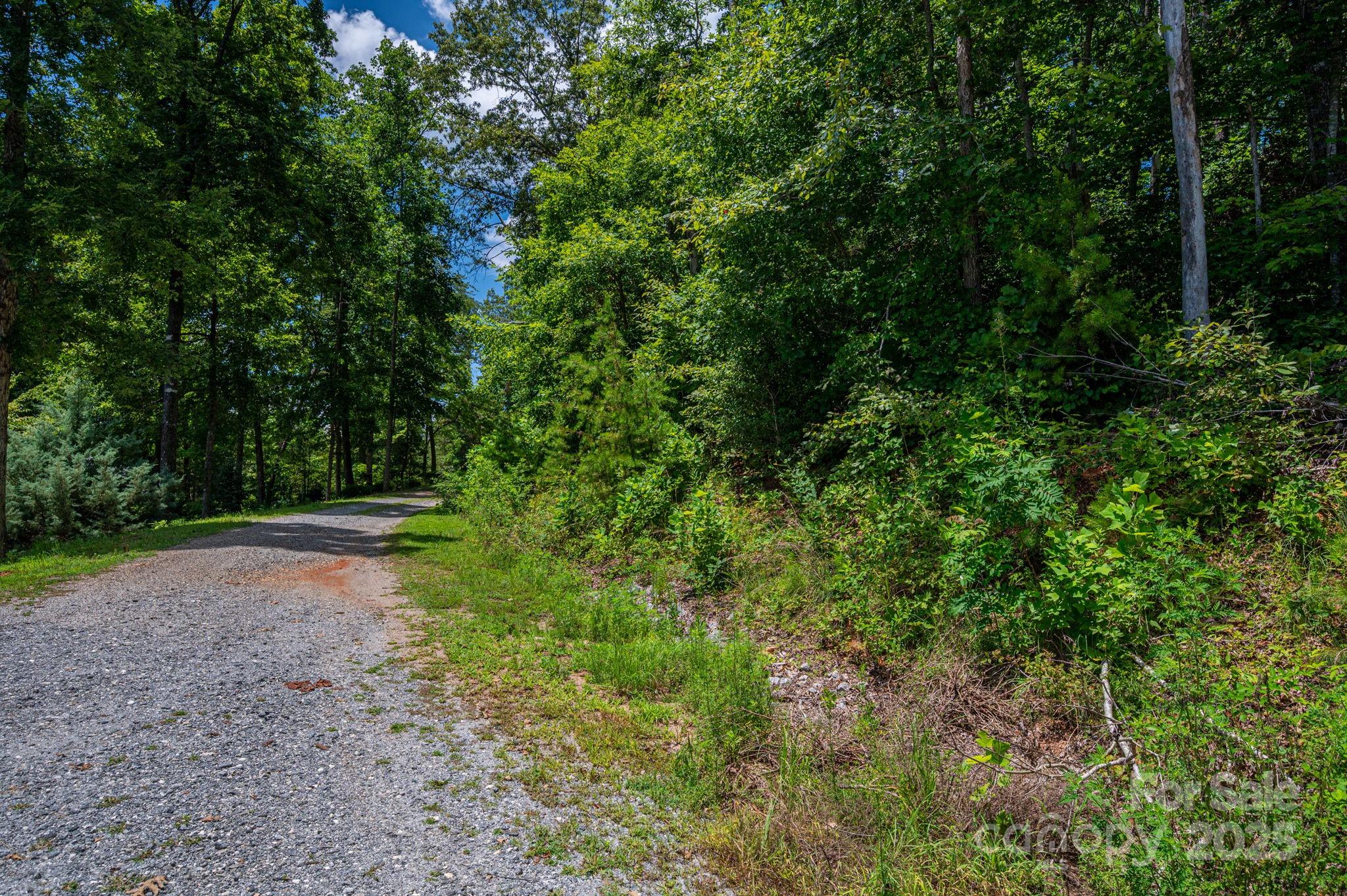 Lot 208 Plantation Drive Rutherfordton, NC 28139 - Photo 9 of 10 a view of a yard with a trees