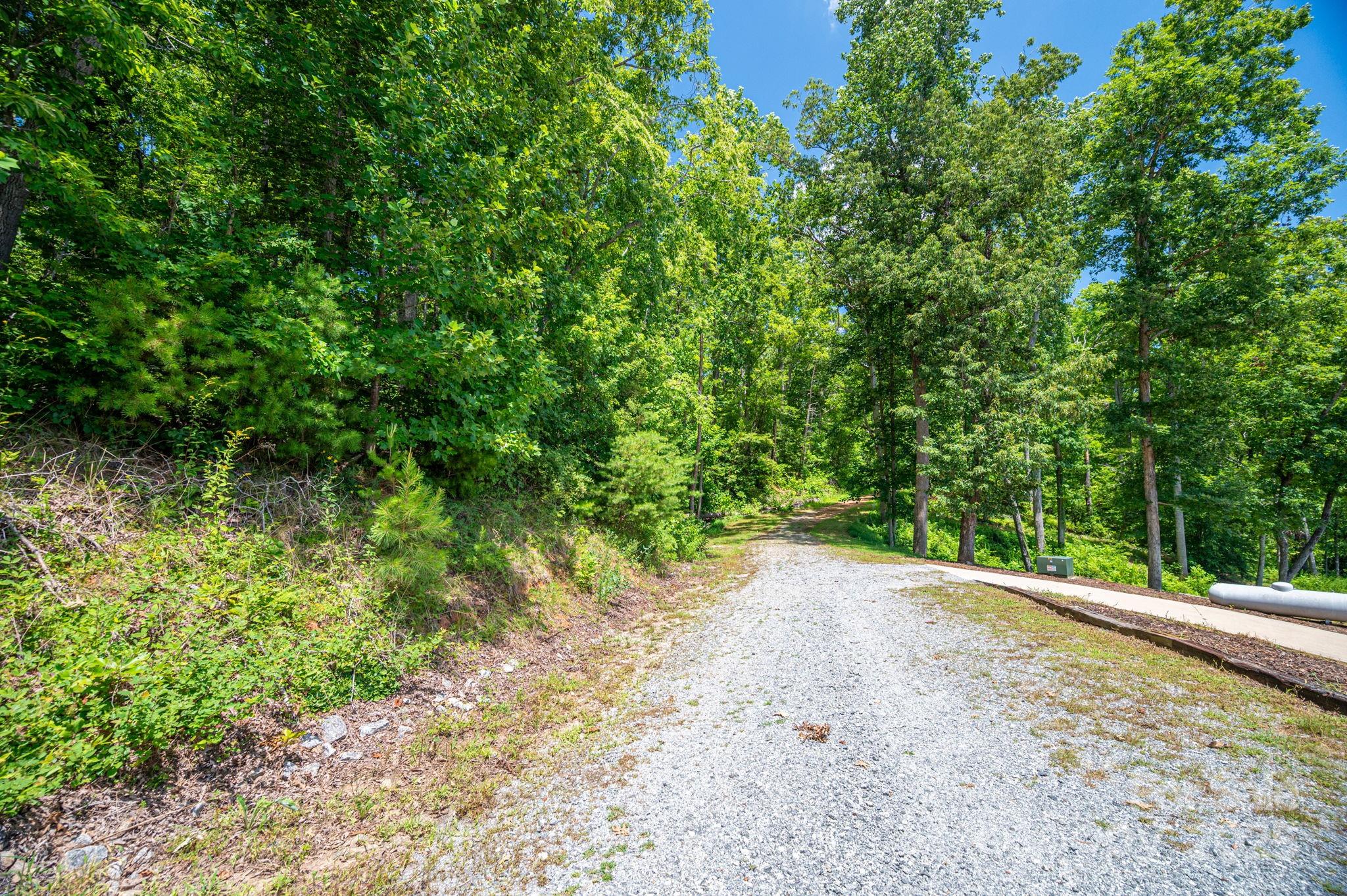 Lot 208 Plantation Drive Rutherfordton, NC 28139 - Photo 10 of 10 a view of a plants with large trees