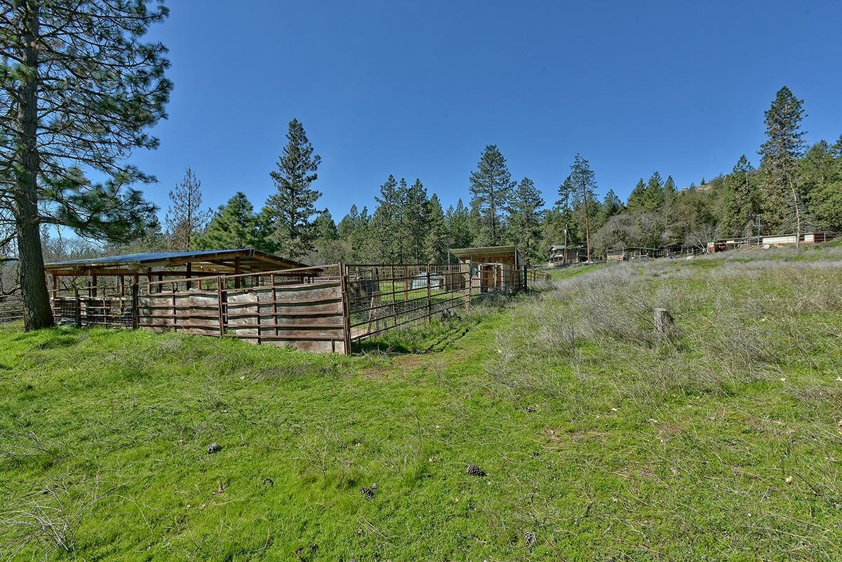 13750 Duggan Road White City, OR 97503 - Photo 34 of 35 Additional Photo