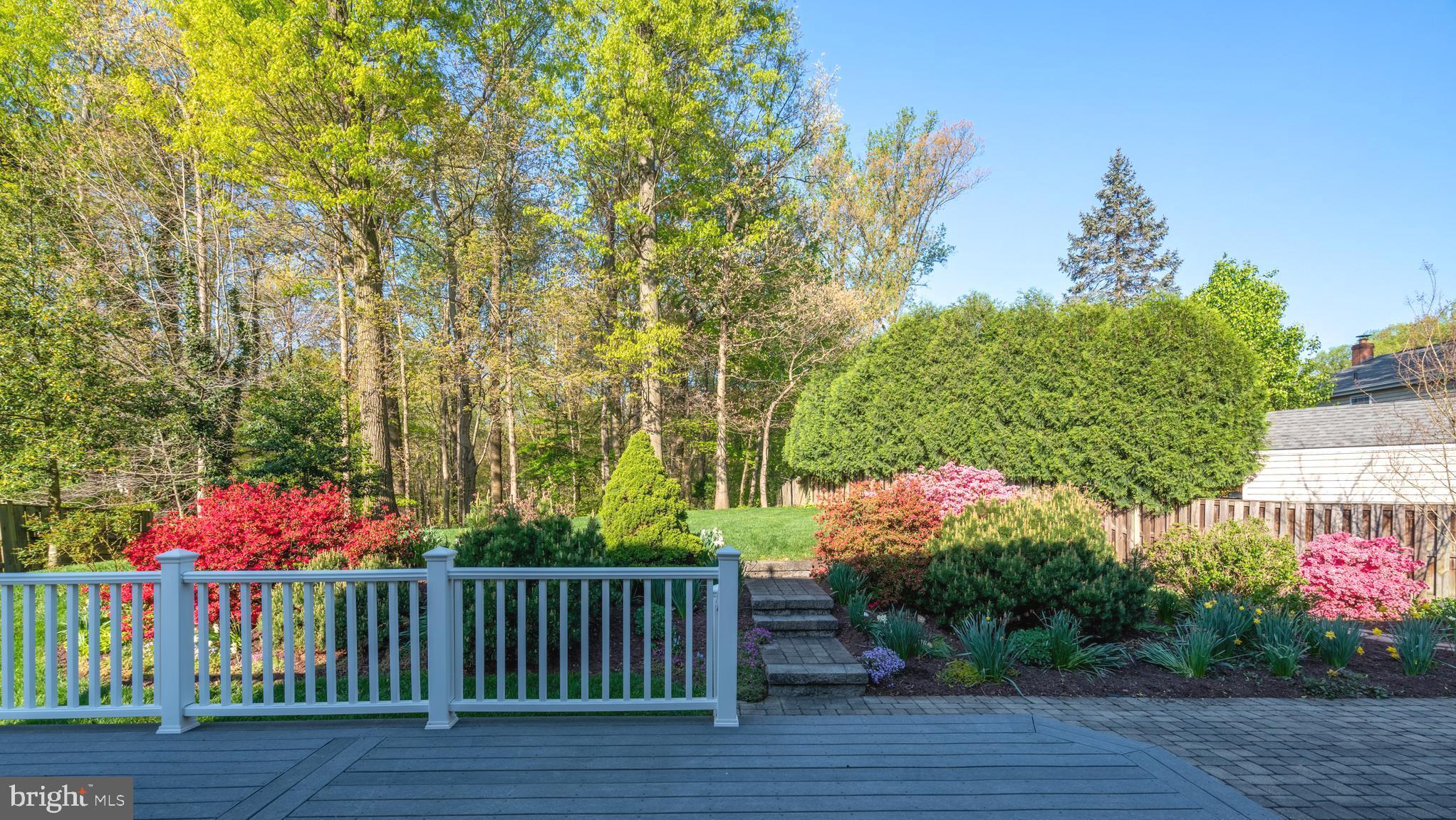 6022 Greeley Boulevard Springfield, VA 22152 - Photo 58 of 73 This is what serenity looks like!
