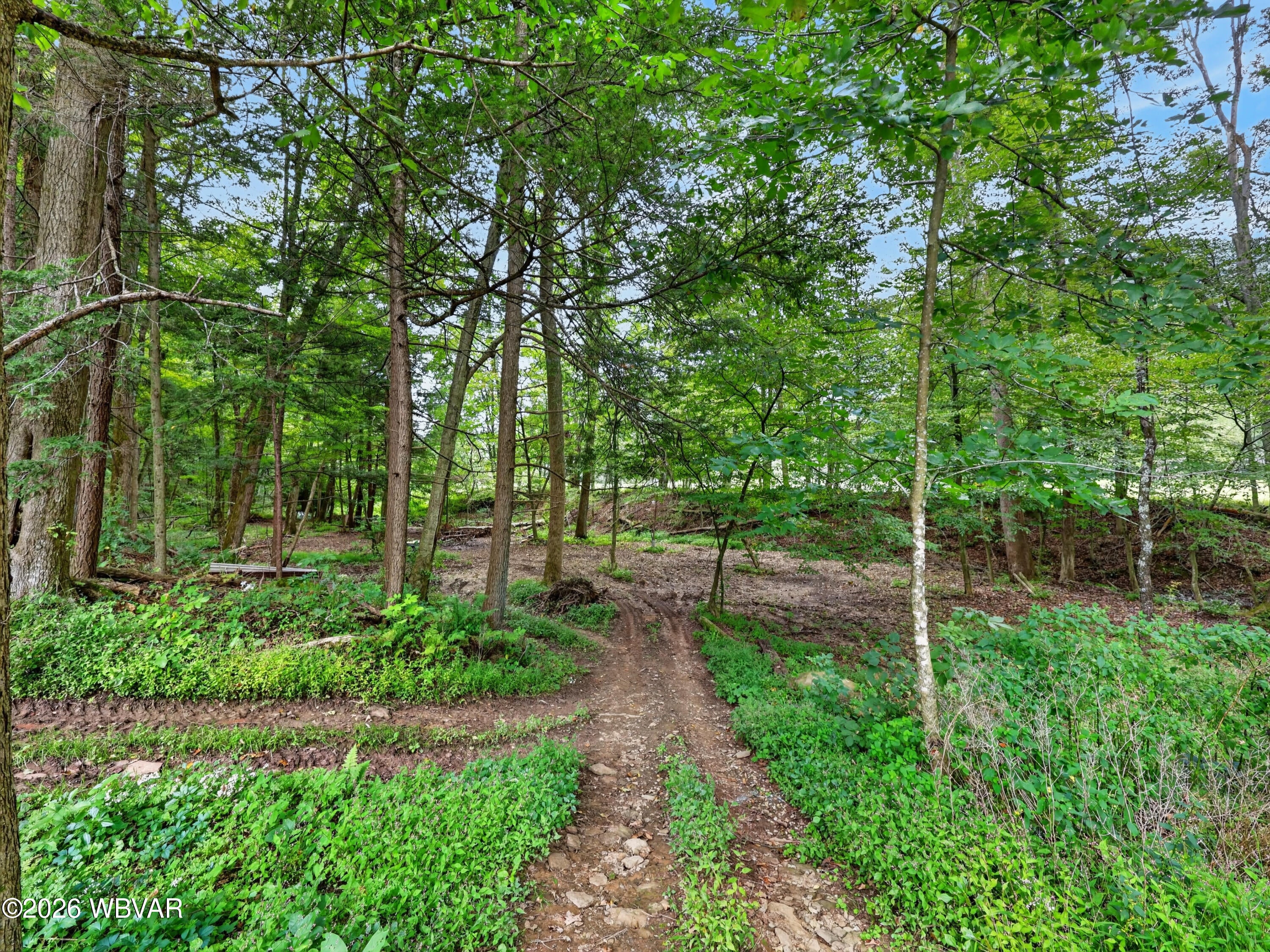 703 Lower Bodines Road Trout Run, PA 17771 - Photo 36 of 54 Gallery Image 36