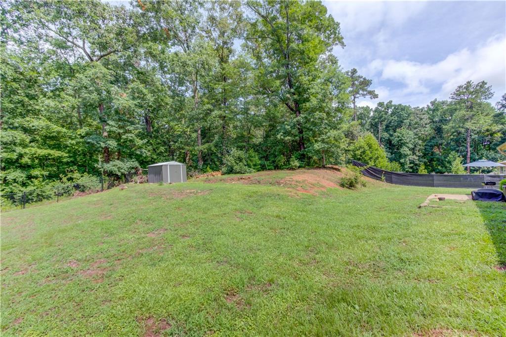 154 Rolling Oaks Lane Colbert, GA 30628 - Photo 33 of 40