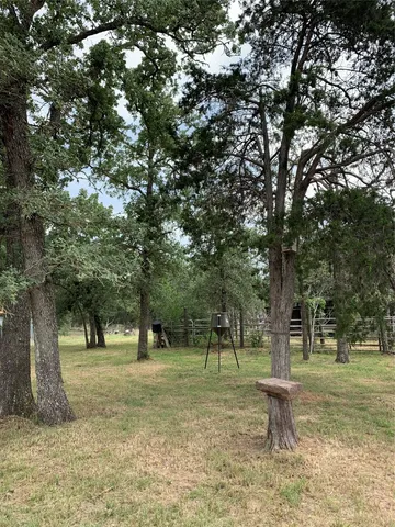 a view of a park with trees