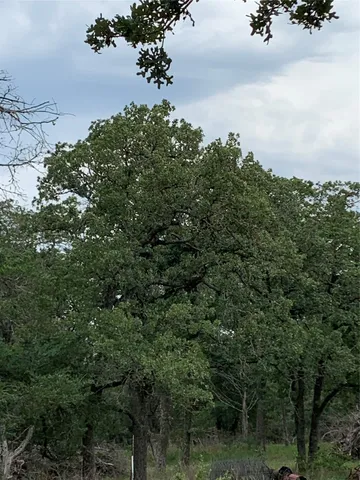 a view of lake with mountain