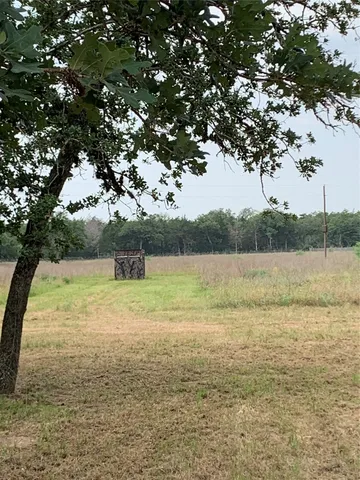 a view of a yard with a tree
