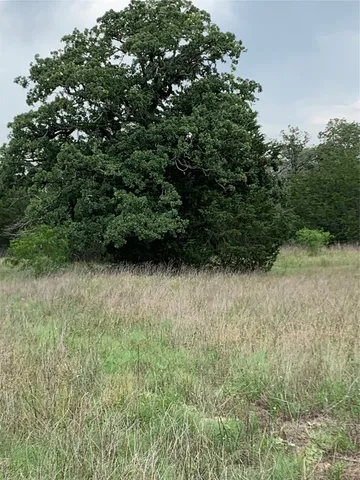 a view of a tree in a field of a house