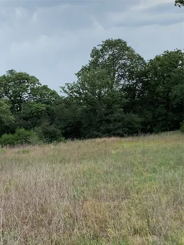 a view of a field of grass and trees