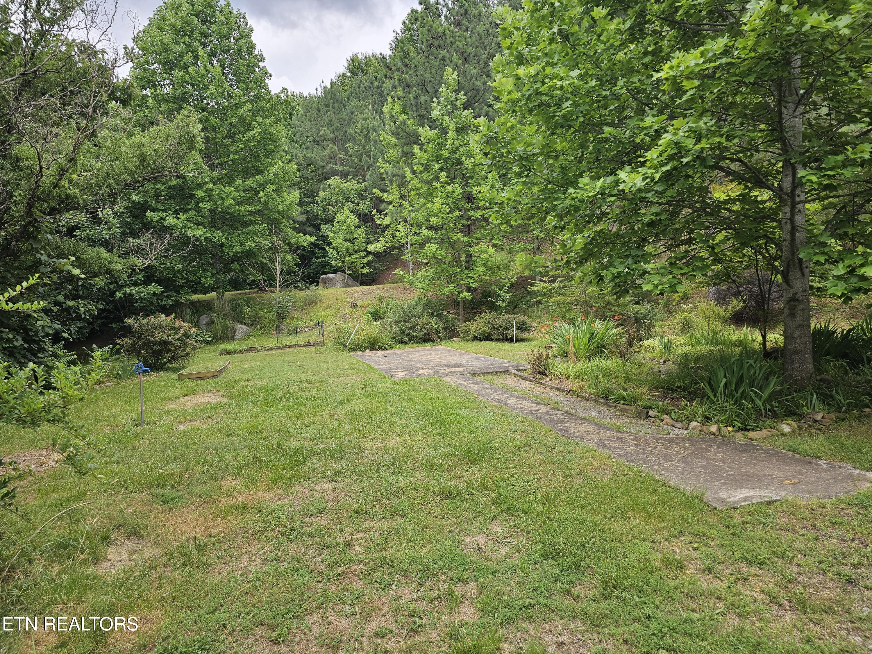 925 Tweed Springs Road Greeneville, TN 37743 - Photo 37 of 53 20260618_173018