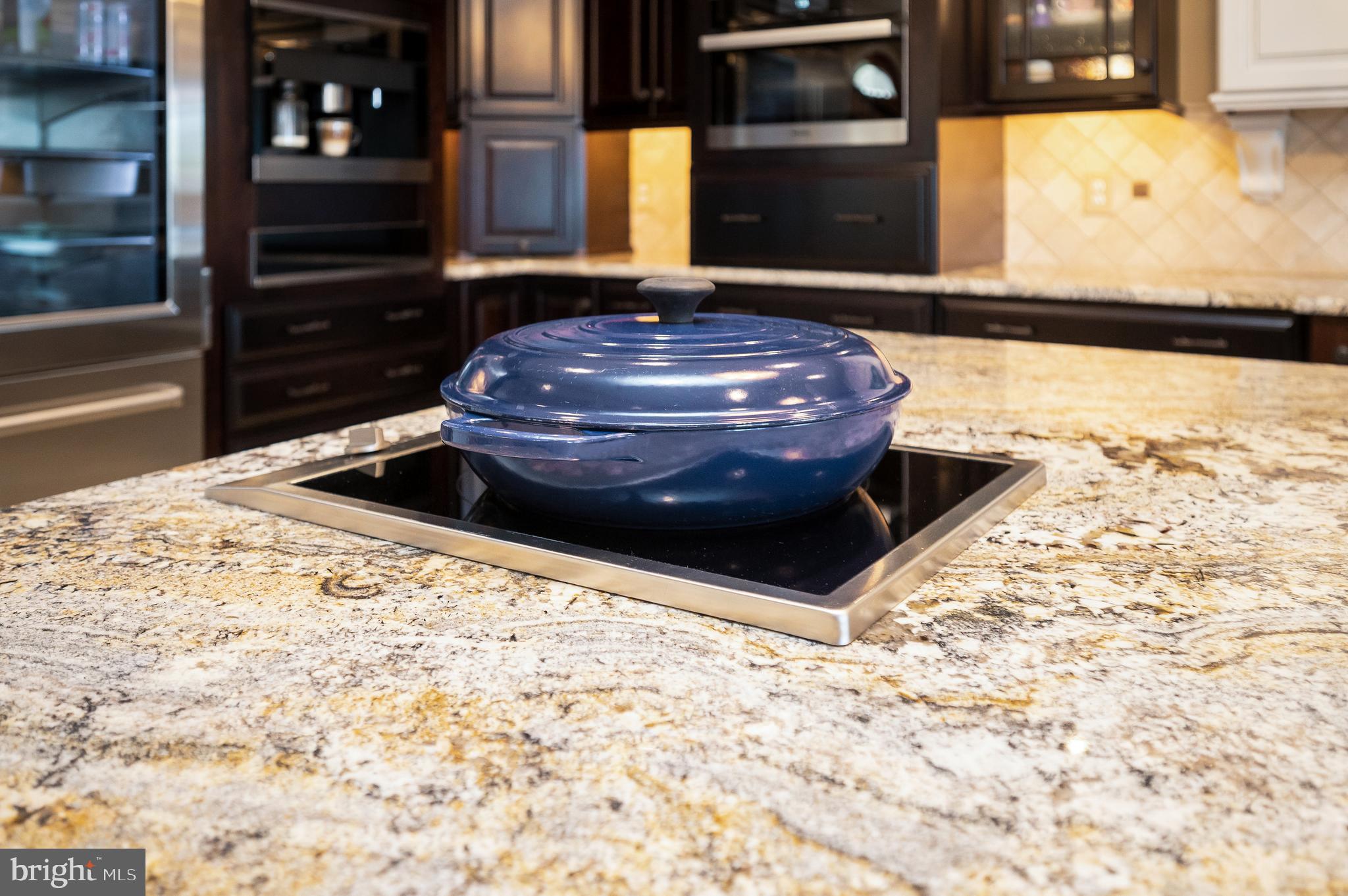 206 Madison Circle Locust Grove, VA 22508 - Photo 19 of 147 Induction Cooktop on Island - Soup, Anyone?