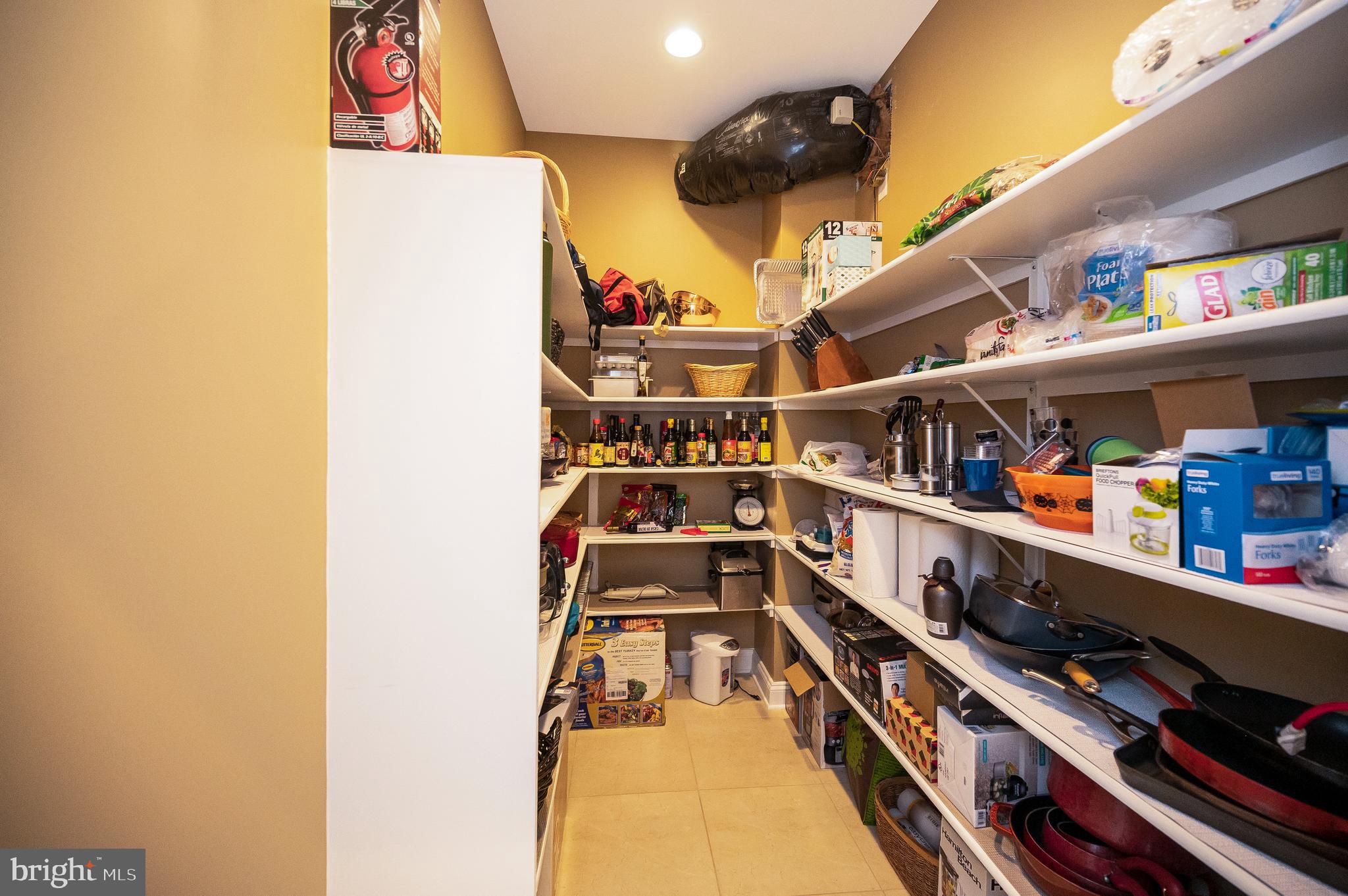 206 Madison Circle Locust Grove, VA 22508 - Photo 50 of 147 Oh My Heavens, Look at This Beautiful Huge Pantry!