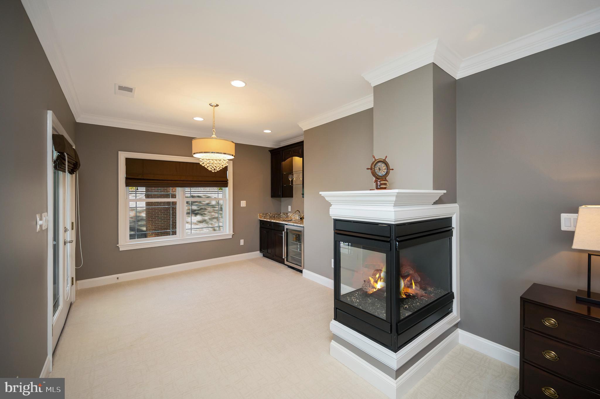 206 Madison Circle Locust Grove, VA 22508 - Photo 61 of 147 Dual Sided Fireplace -Warm Up & Wind Down in Style