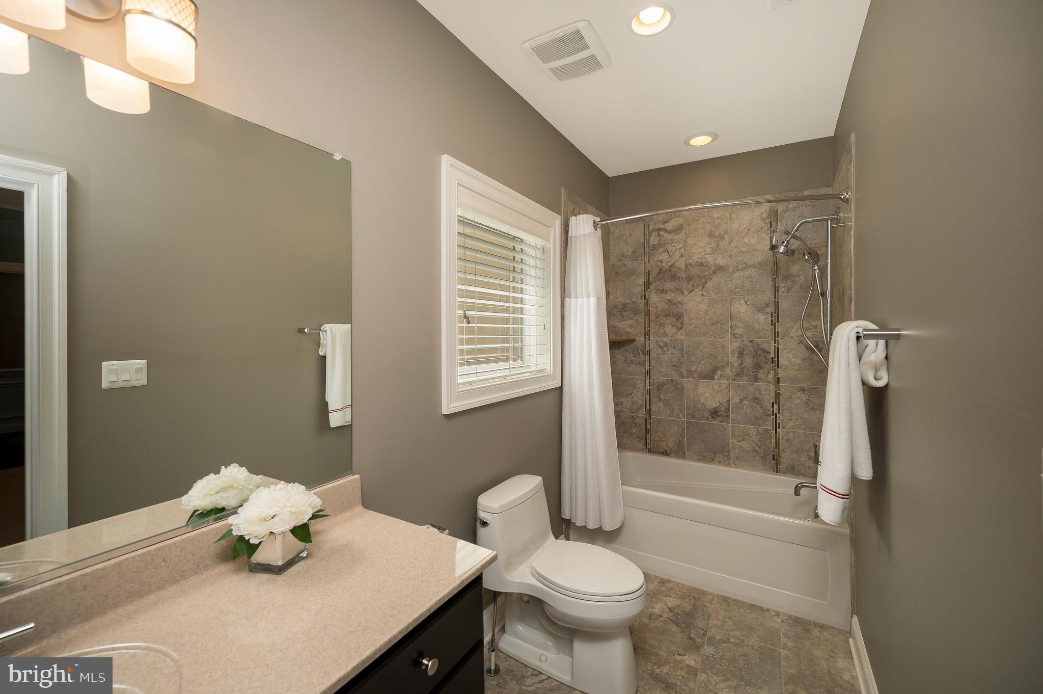 206 Madison Circle Locust Grove, VA 22508 - Photo 79 of 147 Bathroom #4 Boasts Large Soaking Tub/Shower Combo