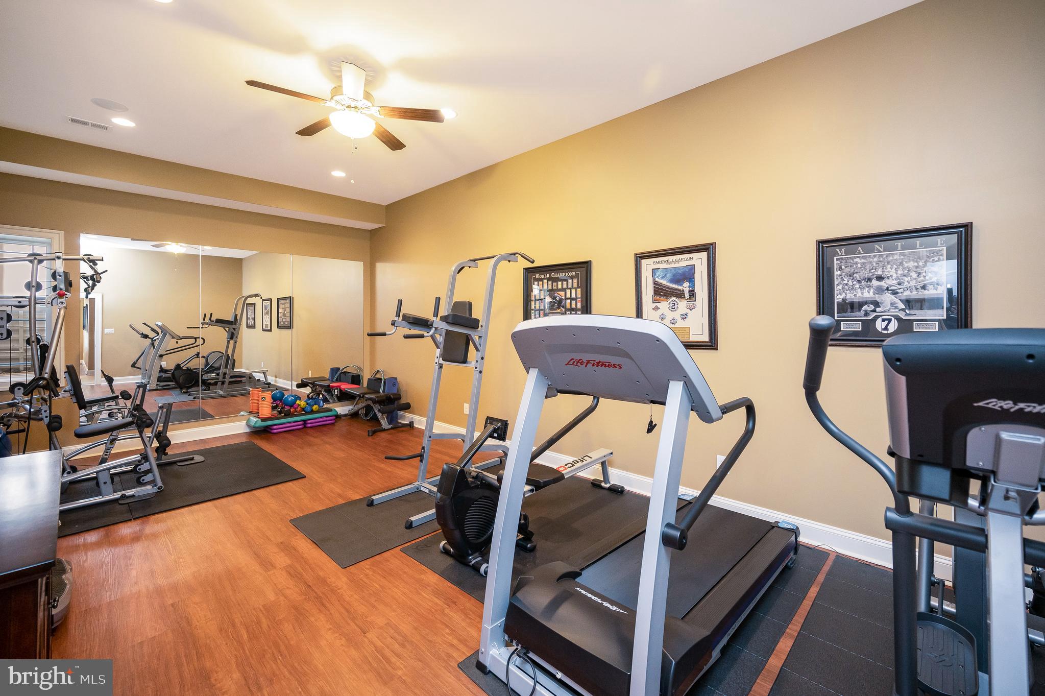 206 Madison Circle Locust Grove, VA 22508 - Photo 86 of 147 Gym Time, Anytime! Space to Move, Lift, & Thrive!