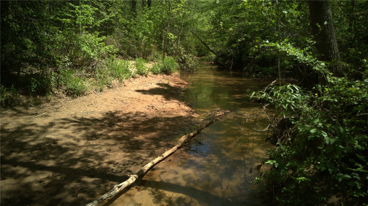 0 Griggs Road Six Mile, SC 29682 - Photo 12 of 17