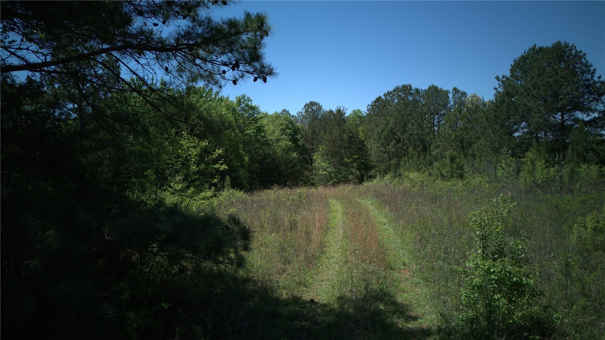 0 Griggs Road Six Mile, SC 29682 - Photo 2 of 17