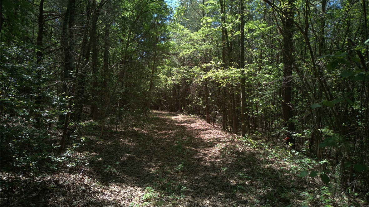 0 Griggs Road Six Mile, SC 29682 - Photo 3 of 17