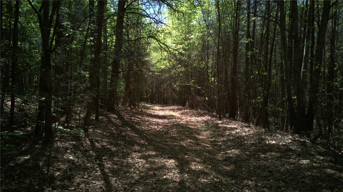 0 Griggs Road Six Mile, SC 29682 - Photo 4 of 17