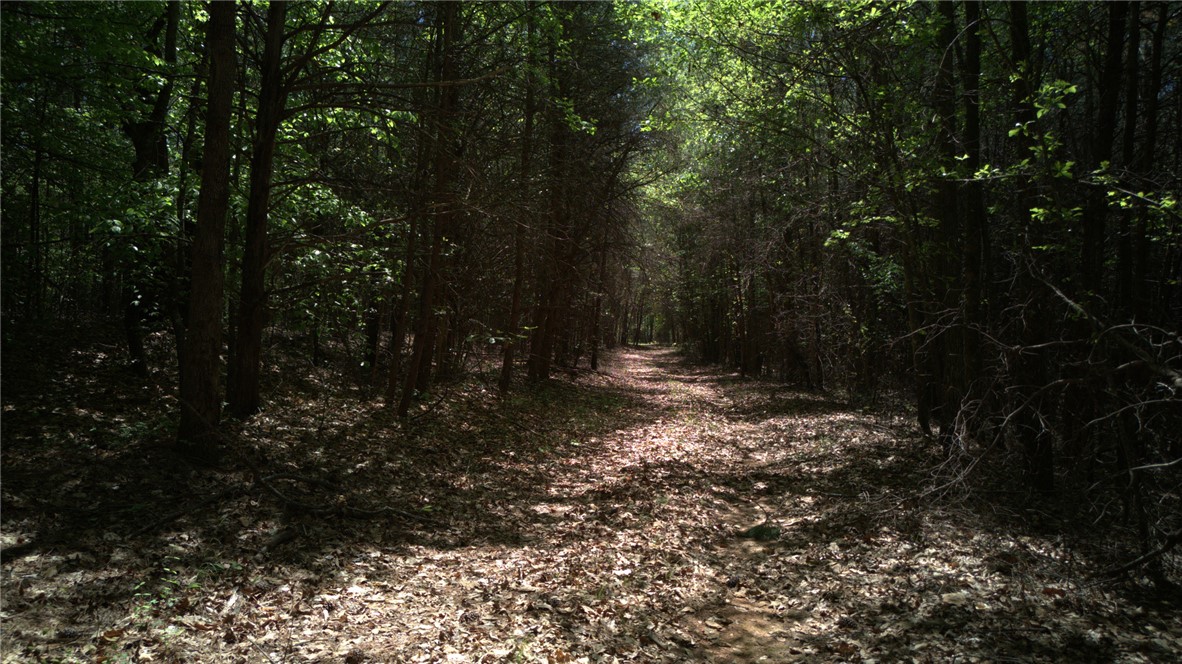 0 Griggs Road Six Mile, SC 29682 - Photo 5 of 17