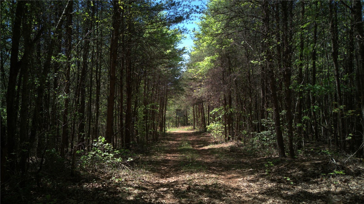 0 Griggs Road Six Mile, SC 29682 - Photo 7 of 17