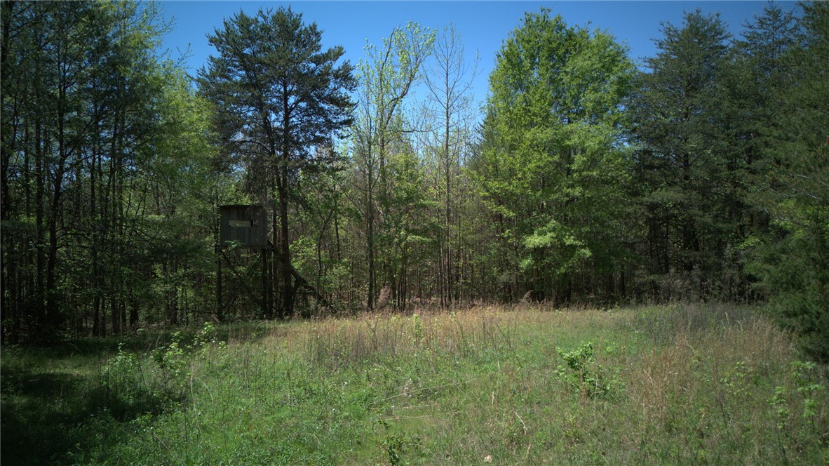 0 Griggs Road Six Mile, SC 29682 - Photo 8 of 17
