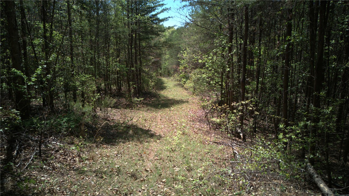 0 Griggs Road Six Mile, SC 29682 - Photo 10 of 17