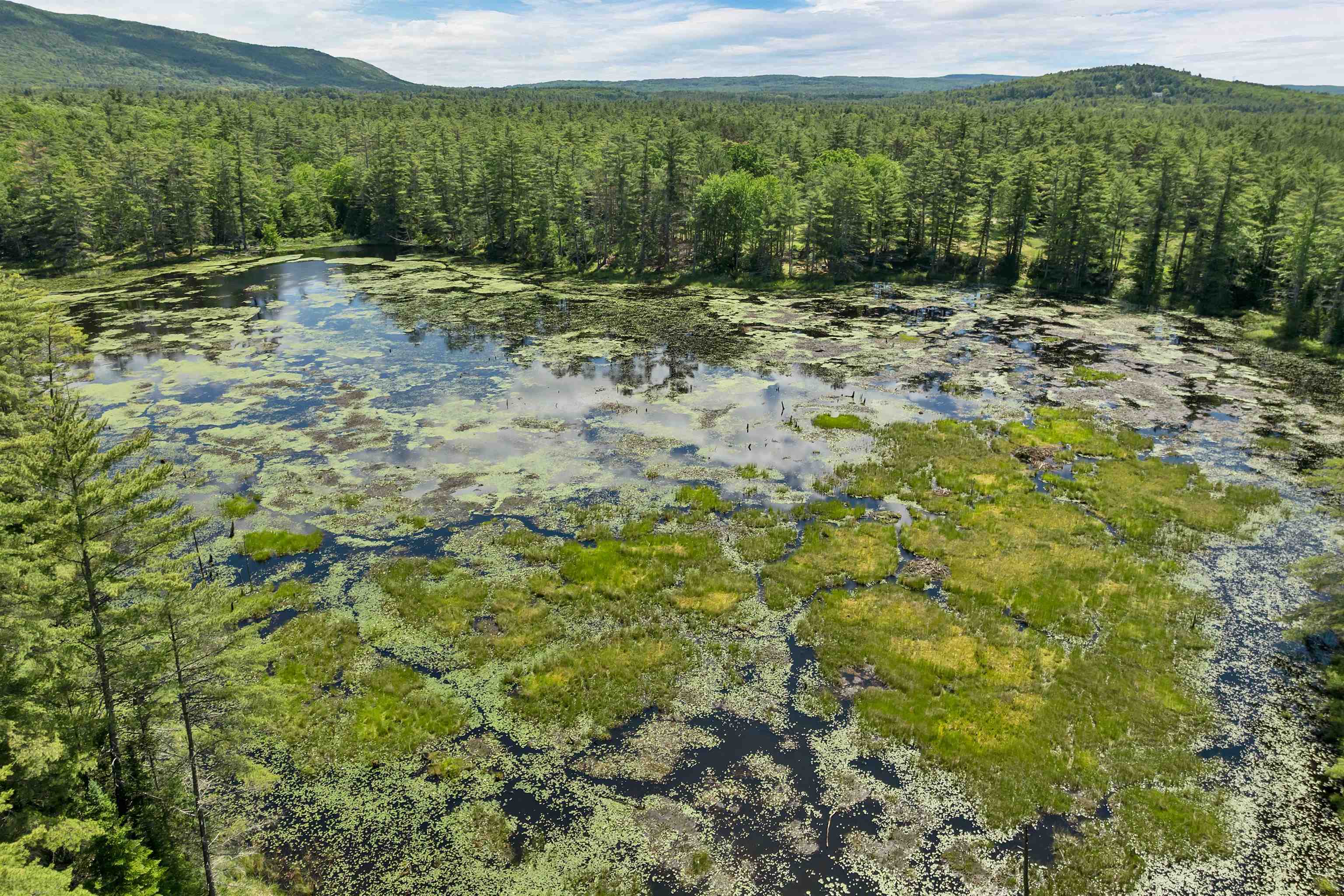 0 Beaver Pond Road Moultonborough, NH 03254 - Photo 9 of 46