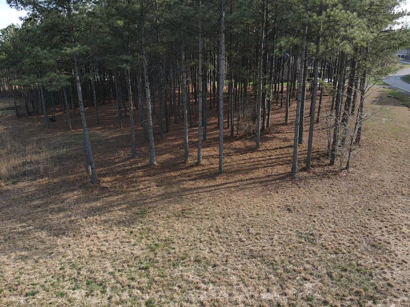 179 High Point Lane Jasper, TN 37347 - Photo 39 of 91 2024-03-21-16-11-26-332