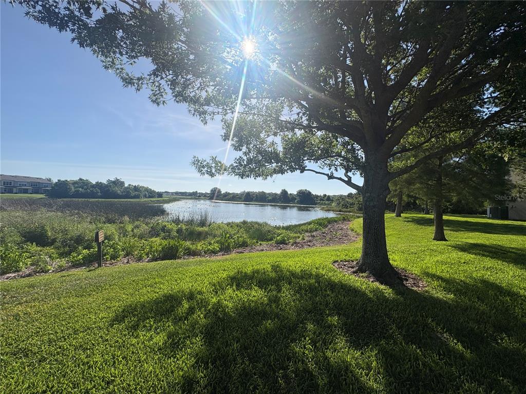 4605 Barnstead Drive Riverview, FL 33578 - Photo 15 of 16