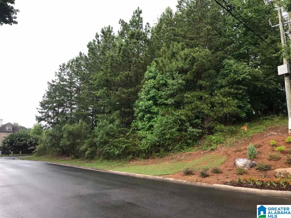 0 Eagle Ridge Drive, Unit 2 Birmingham, AL 35242 - Photo 2 of 8