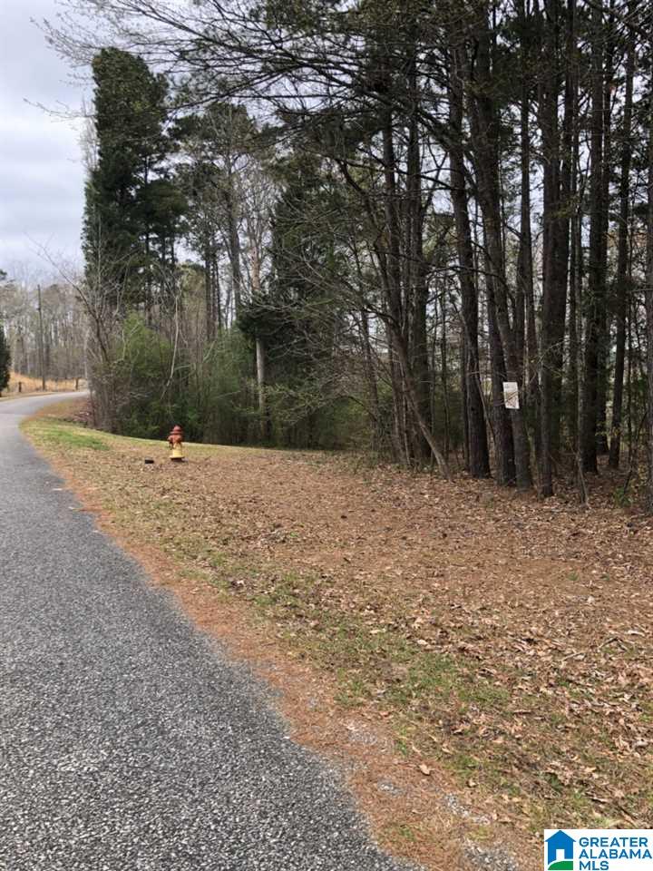 101 Shelby Forest Road, Unit 64 Chelsea, AL 35043 - Photo 1 of 2