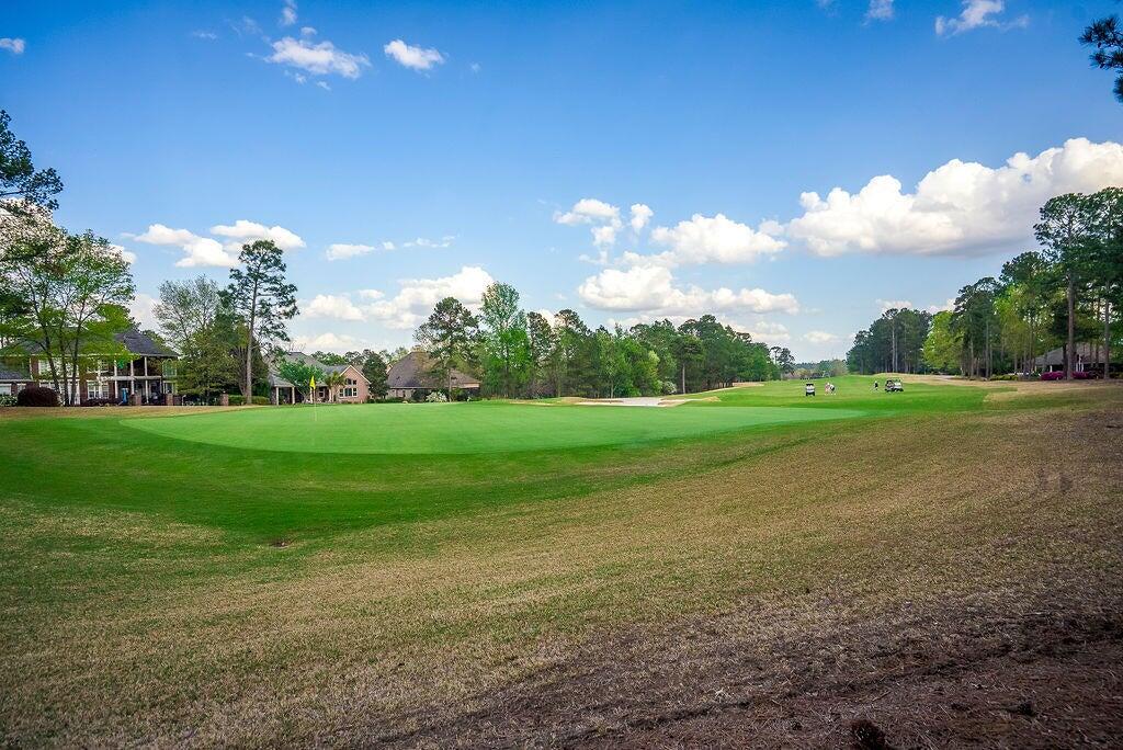 187 Bluet Loop Aiken, SC 29803 - Photo 46 of 51