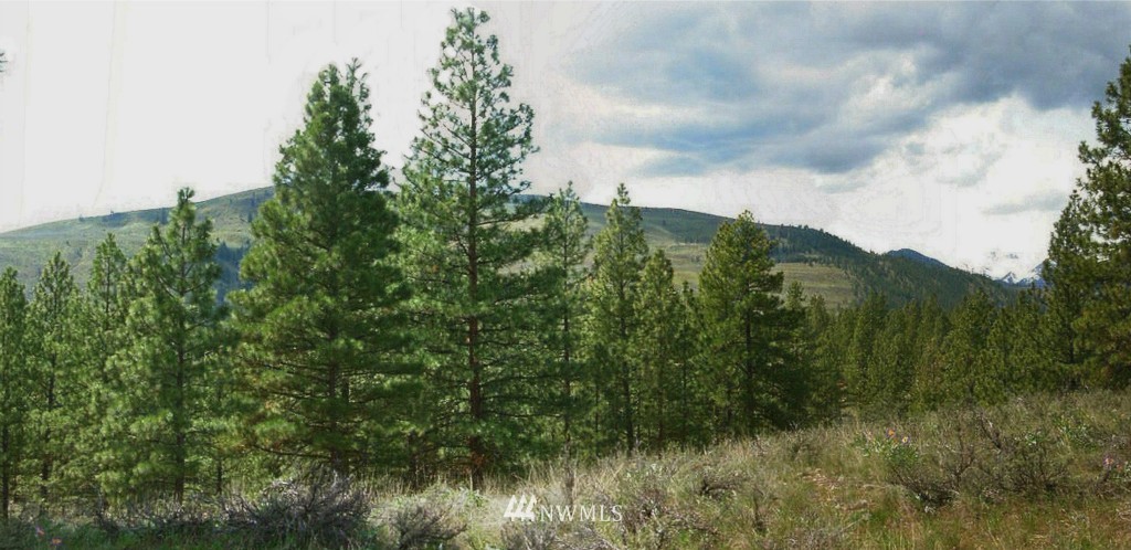 20 Palomino Road Winthrop, WA 98862 - Photo 3 of 11 Gallery Image 3