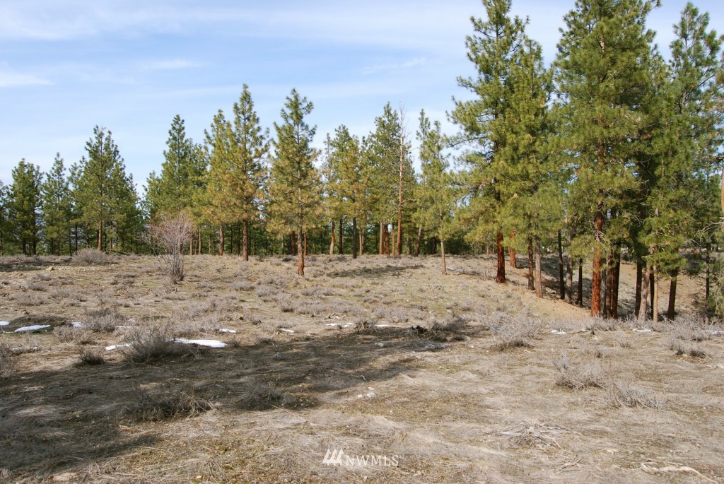 20 Palomino Road Winthrop, WA 98862 - Photo 6 of 11 Gallery Image 6