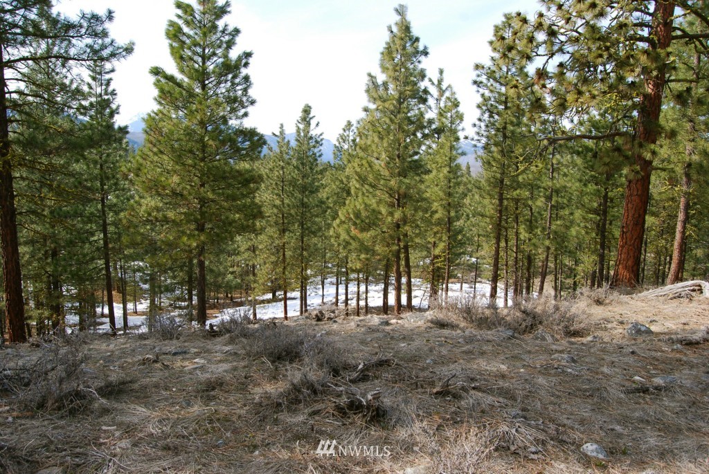 20 Palomino Road Winthrop, WA 98862 - Photo 10 of 11 Gallery Image 10