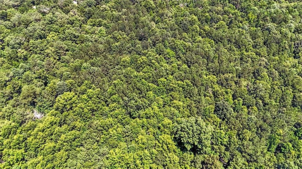 0 George Road Southwest Cave Spring, GA 30124 - Photo 9 of 22