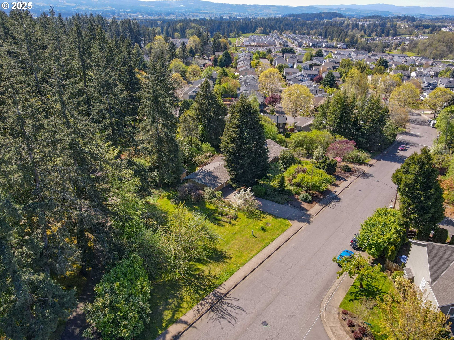 15960 Southwest Roshak Road Portland, OR 97224 - Photo 46 of 48 an aerial view of green landscape with trees houses and mountain view
