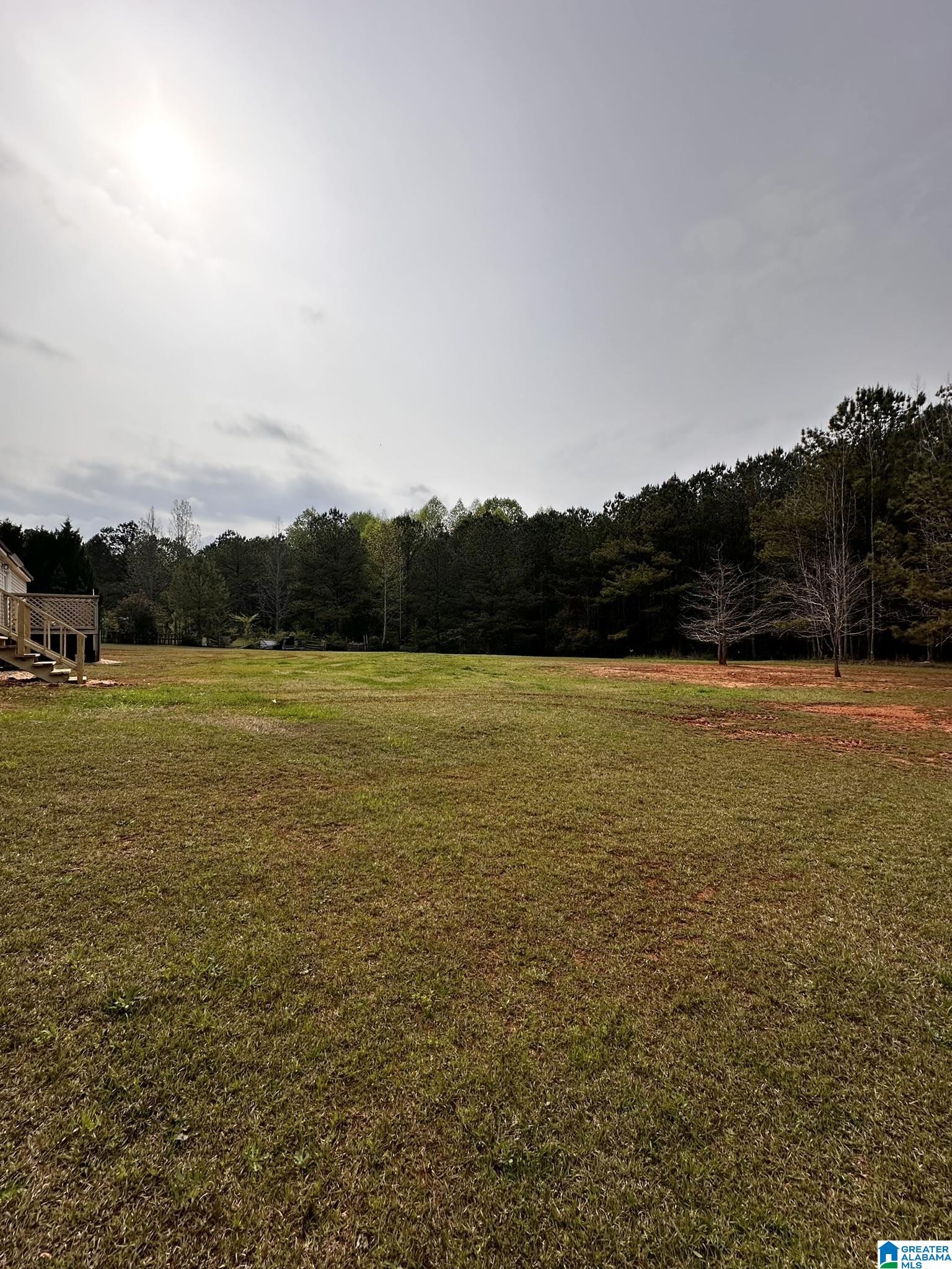2160 Louina Road Roanoke, AL 36274 - Photo 38 of 45
