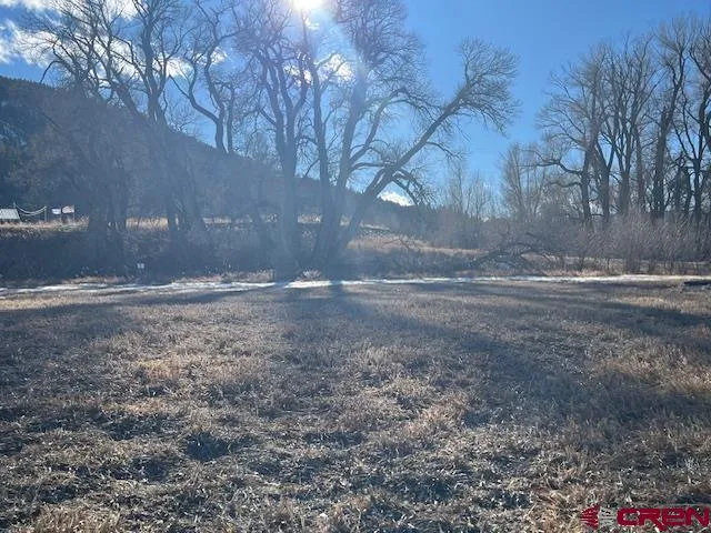 a view of dirt yard with a large tree