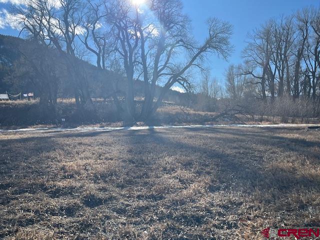 76 West Riverside Court South Fork, CO 81154 - Photo 1 of 10 a view of dirt yard with a large tree