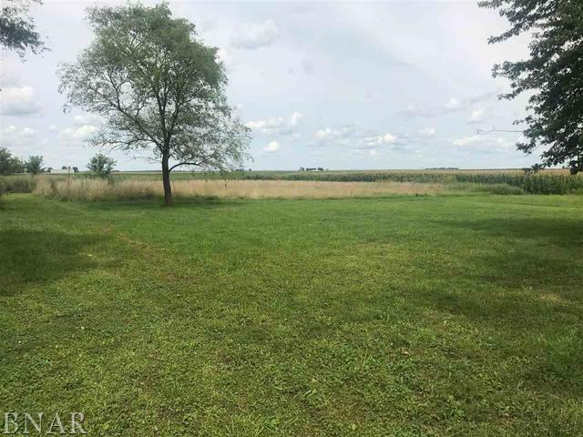 5938 Hopedale Road Hopedale, IL 61747 - Photo 3 of 14