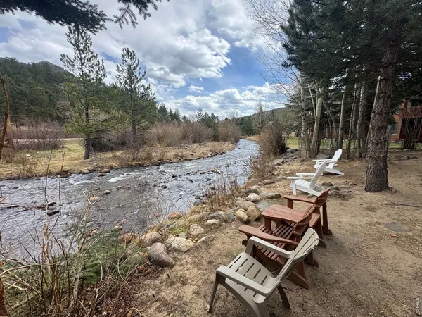 a view of a yard with plants
