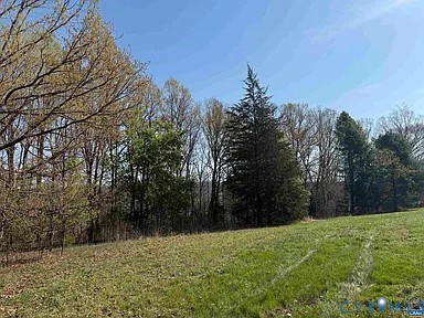 0 Paynes Pond Road Scottsville, VA 24590 - Photo 36 of 44