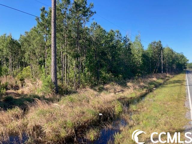 Hamp Road Mullins, SC 29574 - Photo 2 of 6