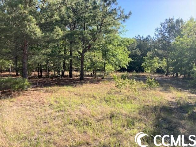 Hamp Road Mullins, SC 29574 - Photo 3 of 6