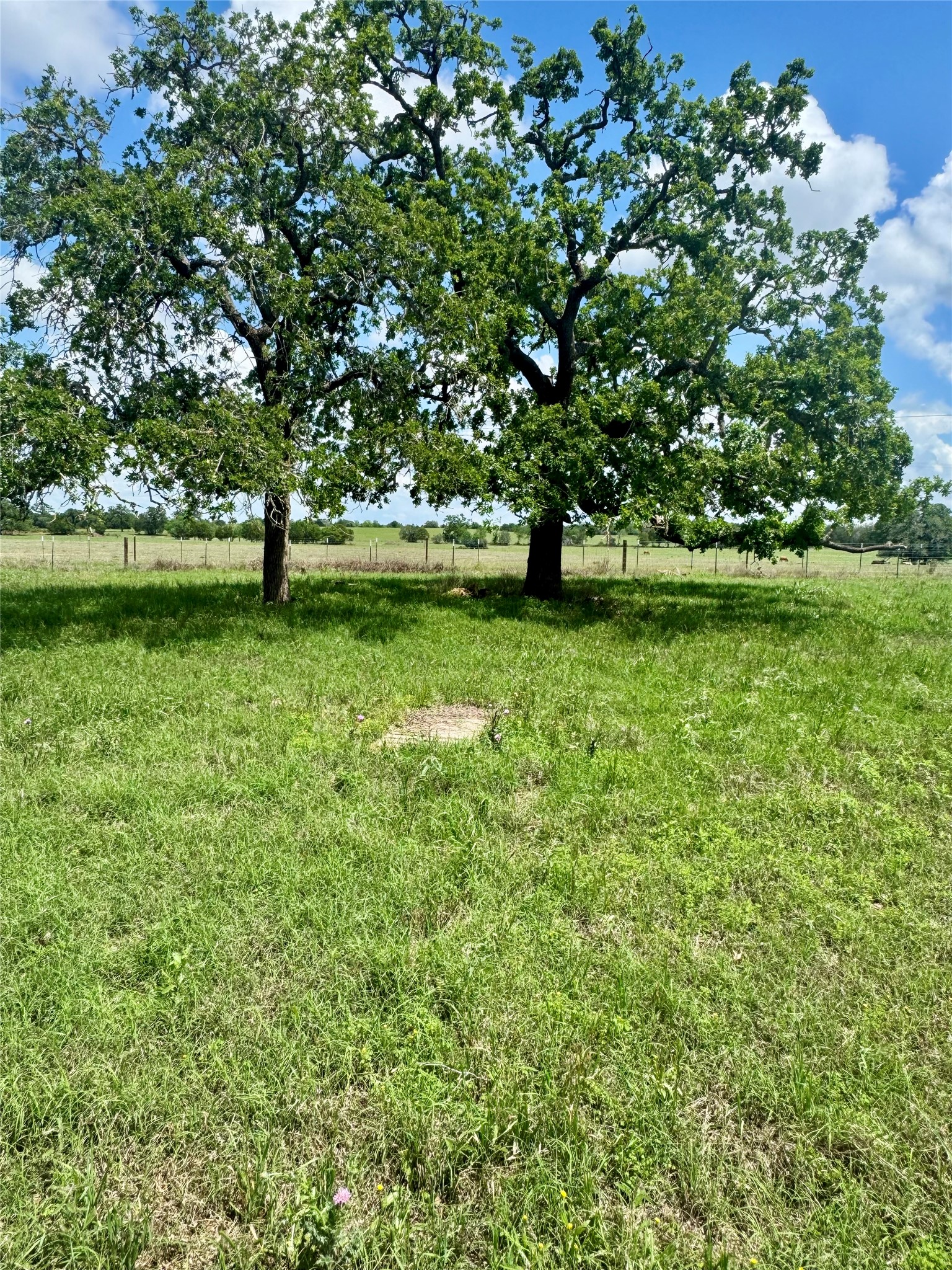Tbd Lot 10 Tbd Road Rosanky, TX 78953 - Photo 5 of 7