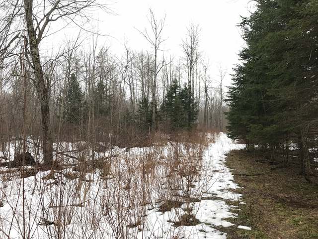 9 Price County Road Tripoli, WI 54564 - Photo 7 of 9 Gallery Image 7